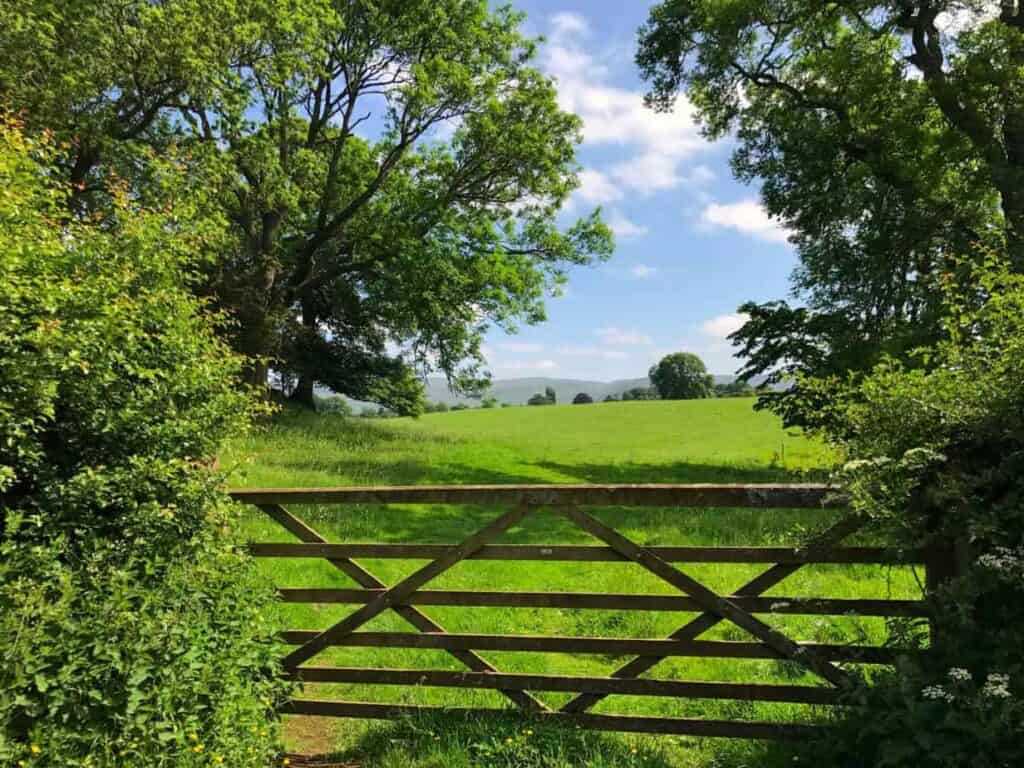 Pennine Walks from our Penrith Holiday Home