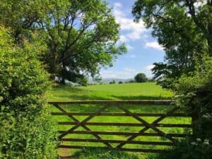 Pennine Walks from our Penrith Holiday Home